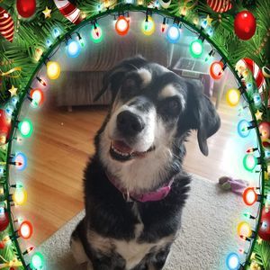 Meet your Posher, Cathy